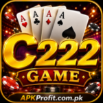 C222 Game
