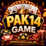 PAK14 Game