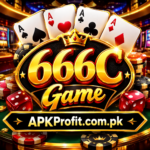 666C Game