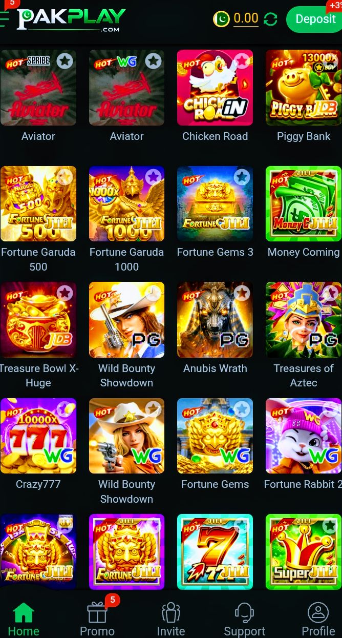 PakPlay Game