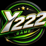 Y222 Game