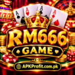 RM666 Game